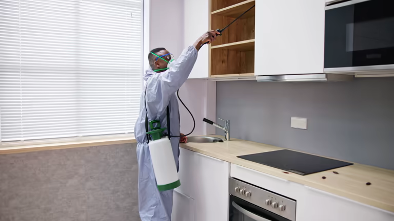 شركة مكافحة حشرات فى مدينة بدر